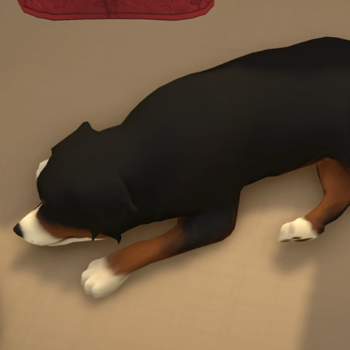 This is a screenshot from Paralives. It shows a dog laying on the floor. 