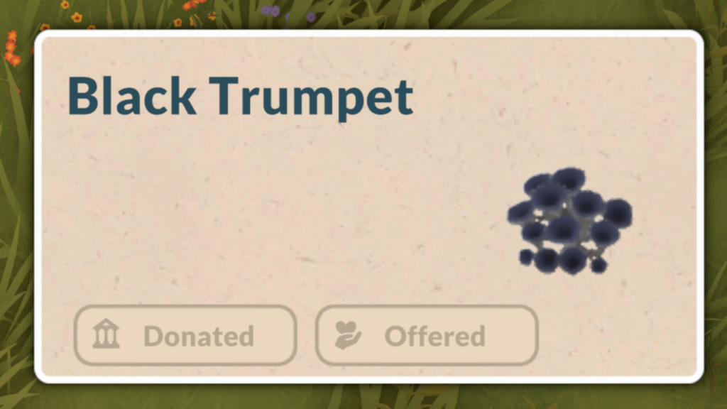 This is a screenshot from Paralives that shows the black trumpet bunch of mushrooms. 