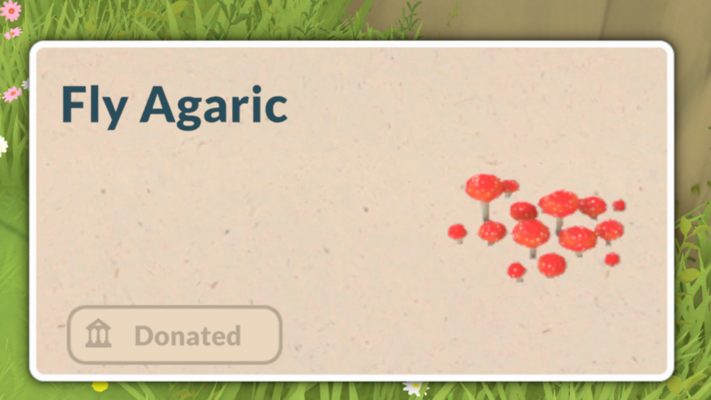 This is a screenshot from Paralives showing the fly agaric mushroom