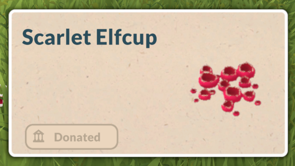 This is a screenshot from Paralives showing the Scarlet Elfcup Mushroom